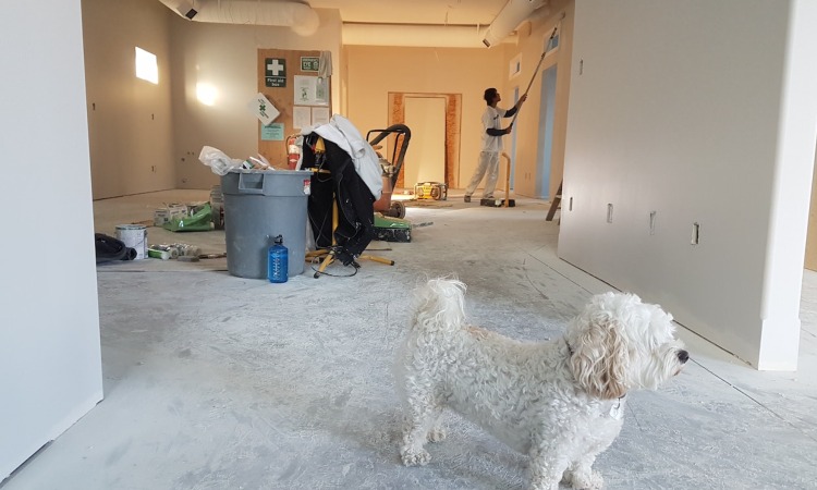 home remodeling tools