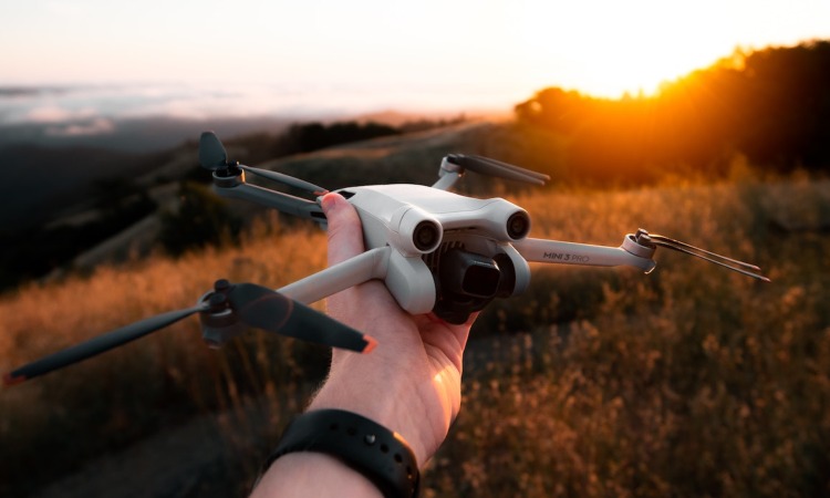 pest control tools