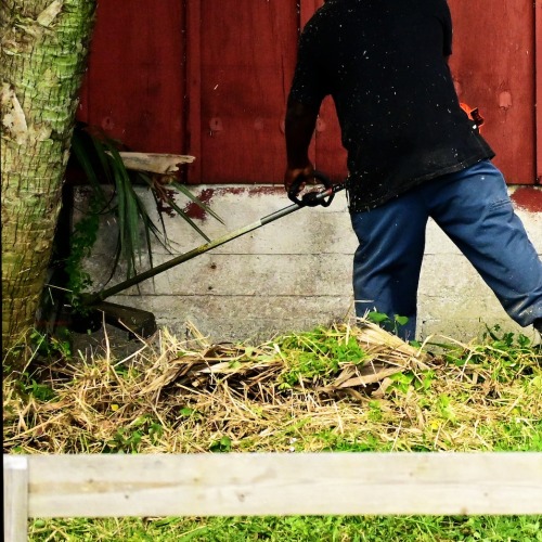 best Landscaping tools