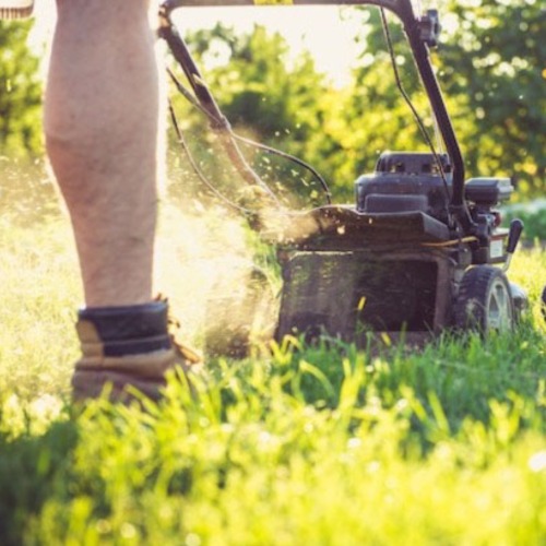 best Lawn Care tools