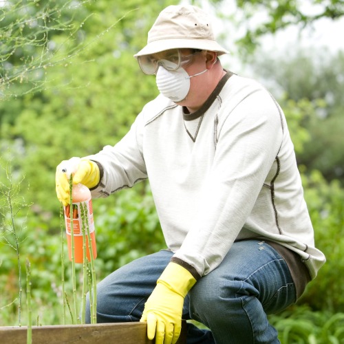 best pest control tools