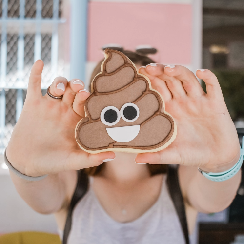 best poop scooping tools