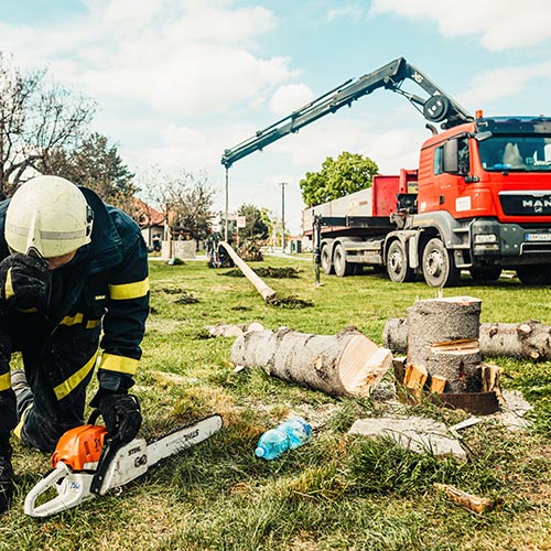 best tree care tools