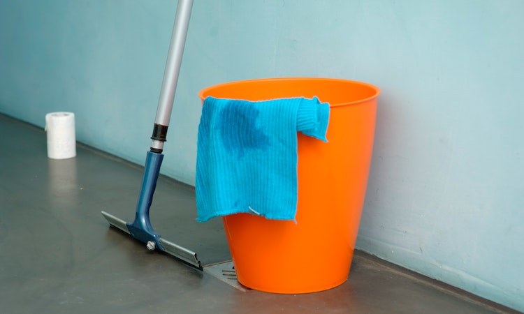 house cleaner tools