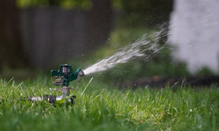 Lawn Care Expert tools