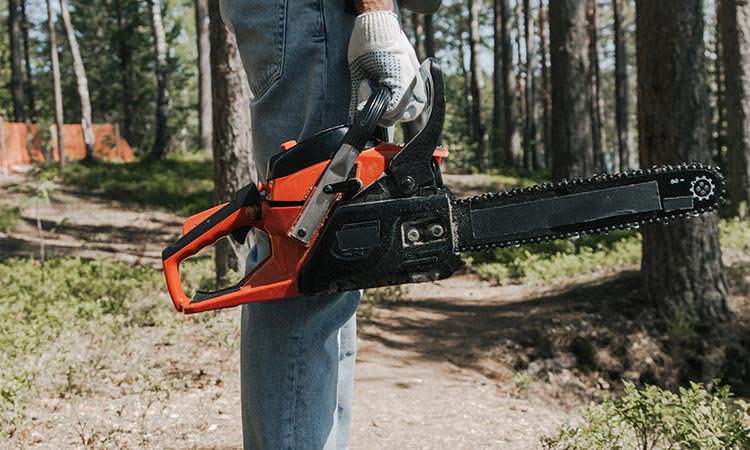 tree care tools