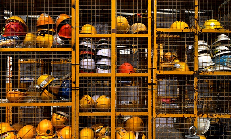 tools for the tree care industry