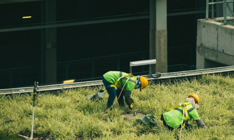 tools for the Landscaping industry