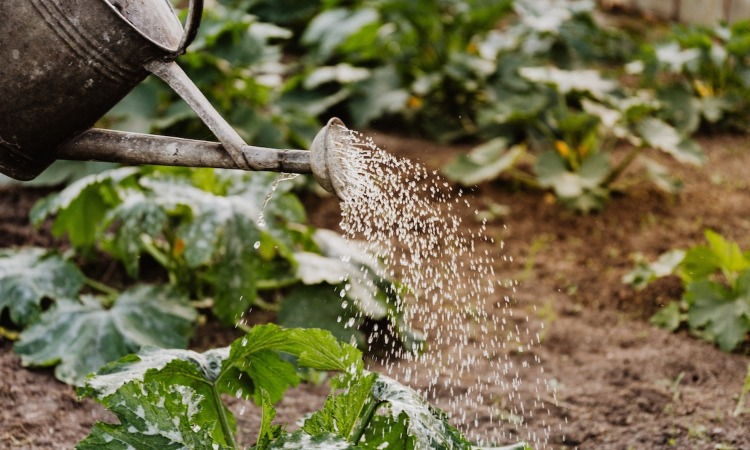 tools for Landscapers