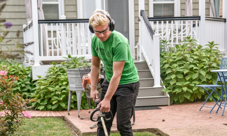 tools for the Lawn Care industry