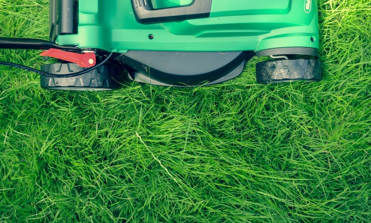 tools for Lawn Care Experts