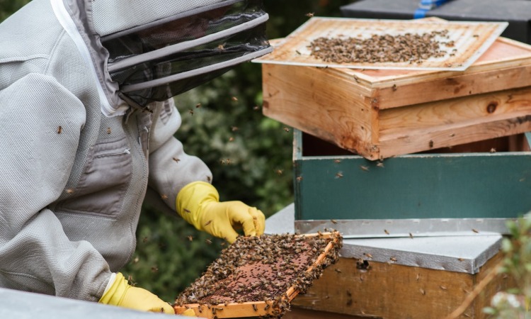tools for the pest control industry